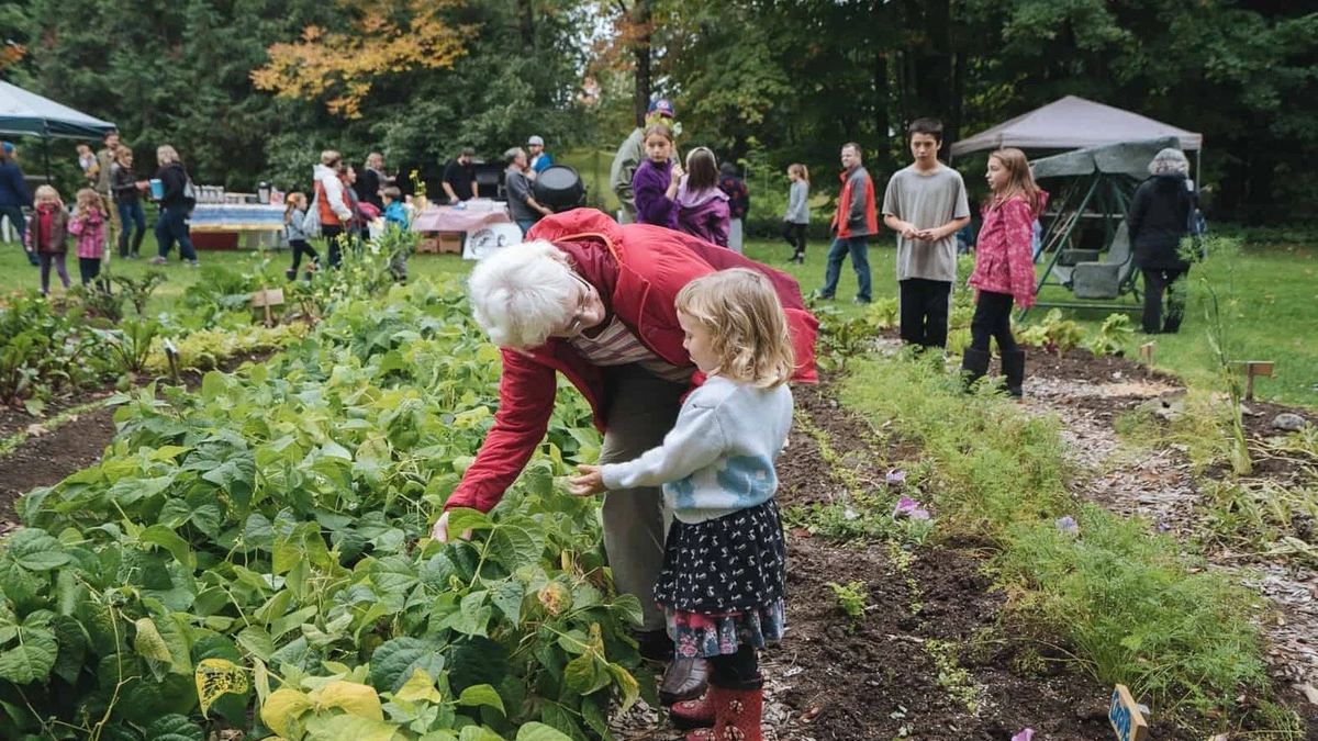accueil Adultes et enfants jardinent ensemble dans un jardin partagé lors d’une activité intergénérationnelle.